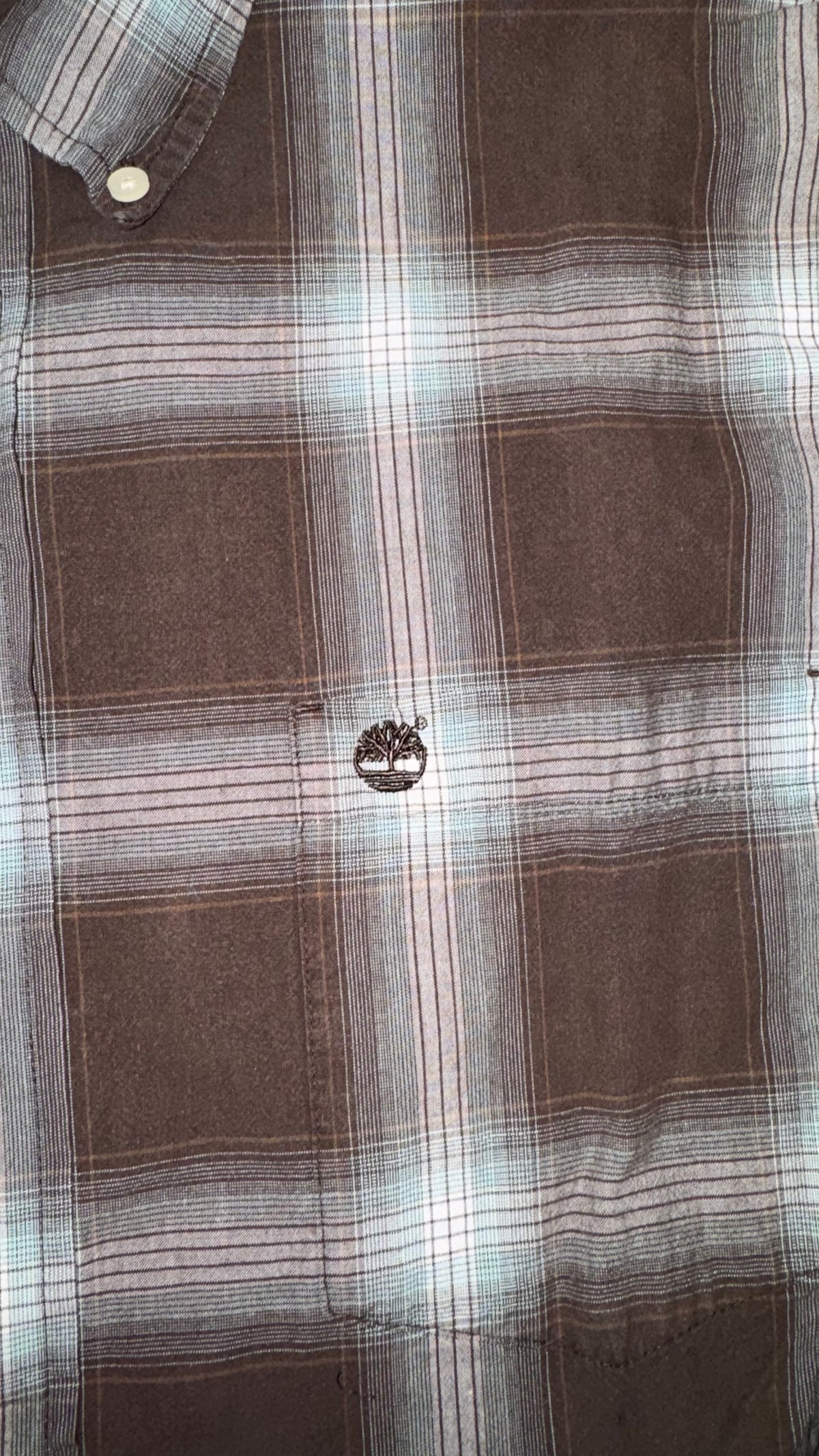 CAMISA TIMBERLAND