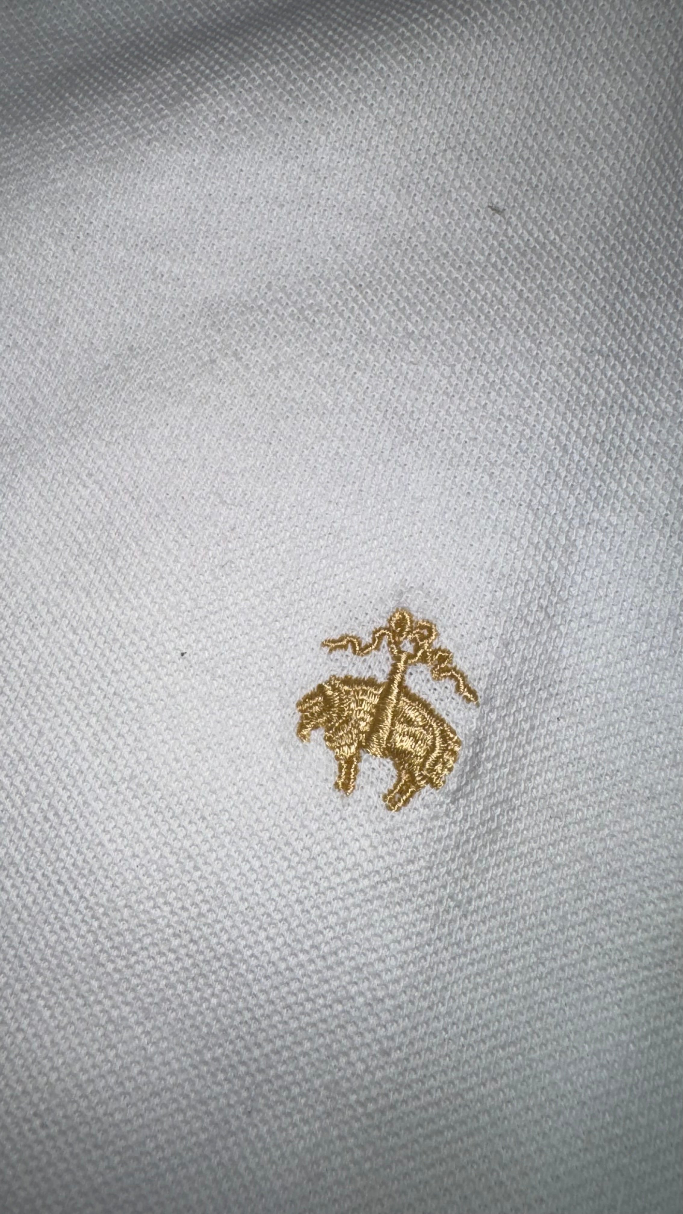 PLAYERA BROOKS BROTHERS