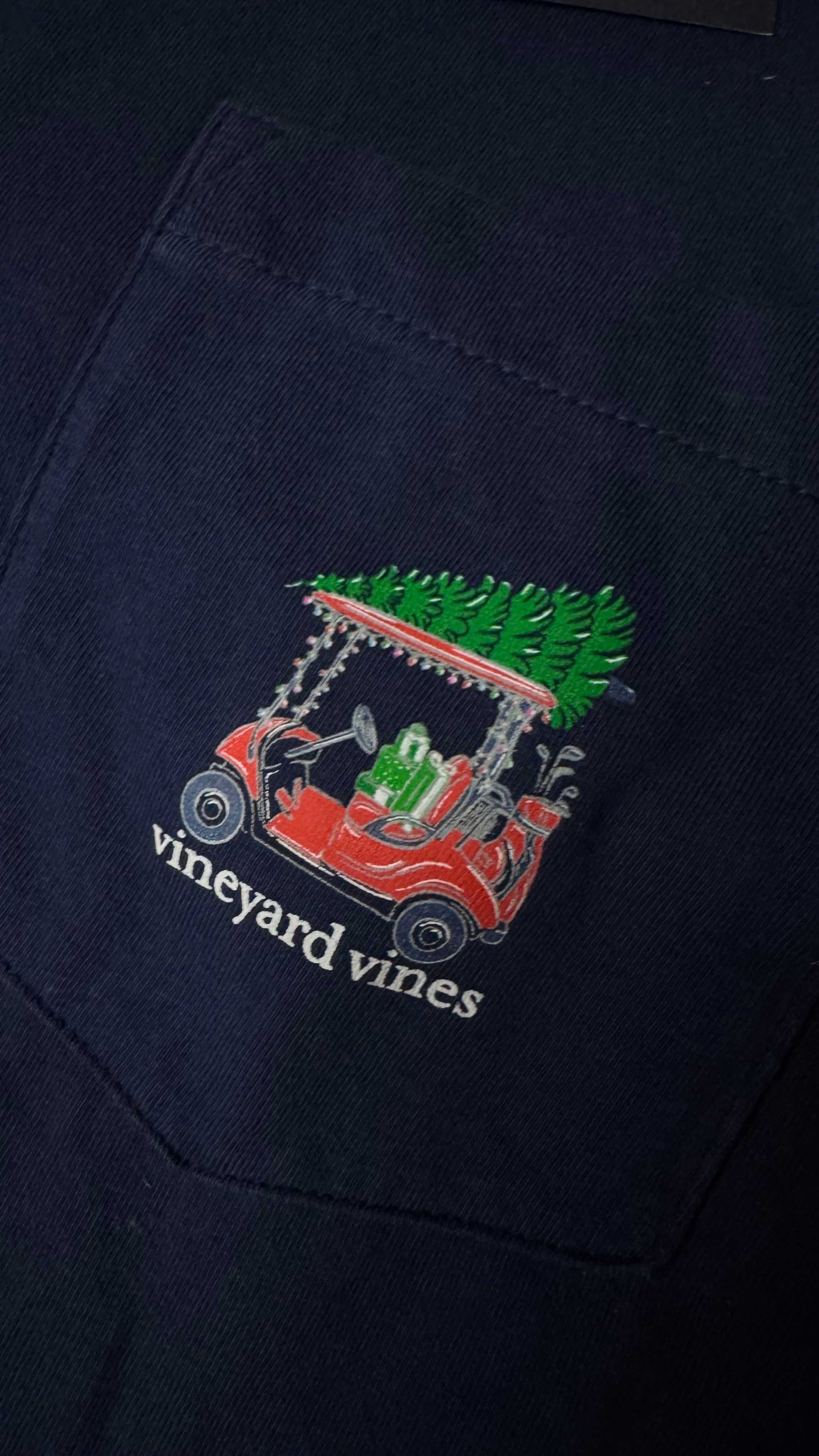 PLAYERA VINEYARD VINES