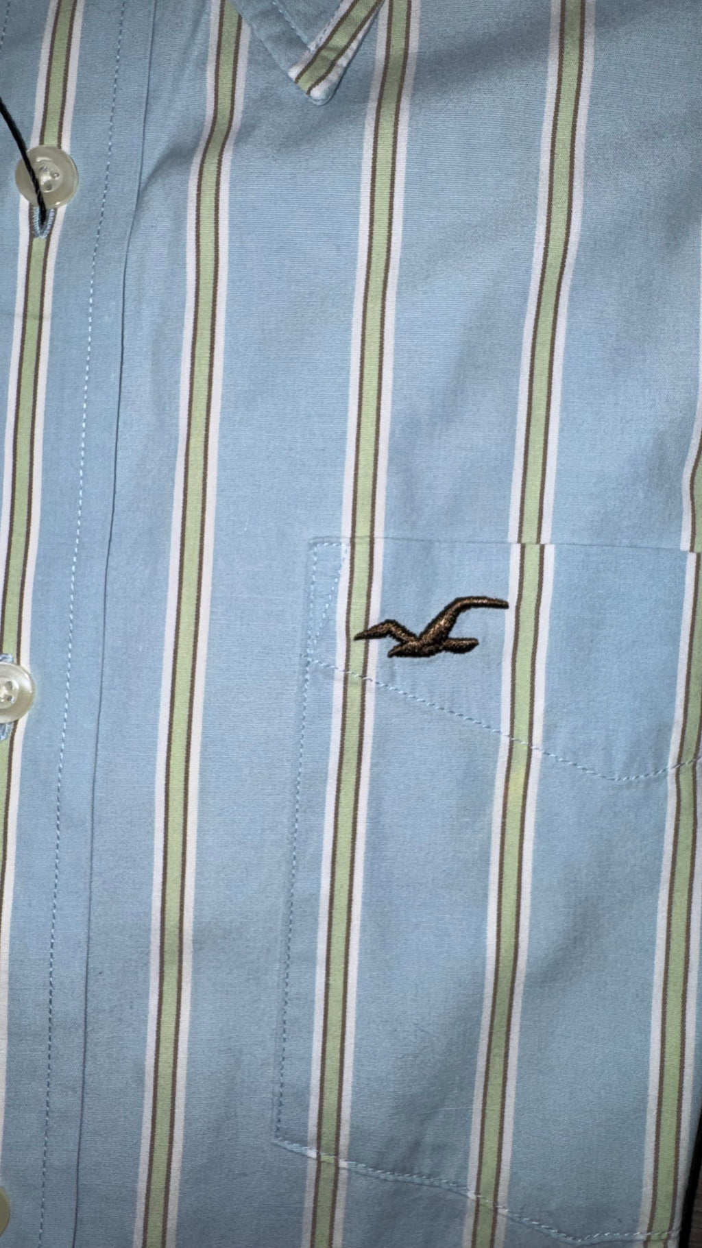 CAMISA AMERICAN EAGLE