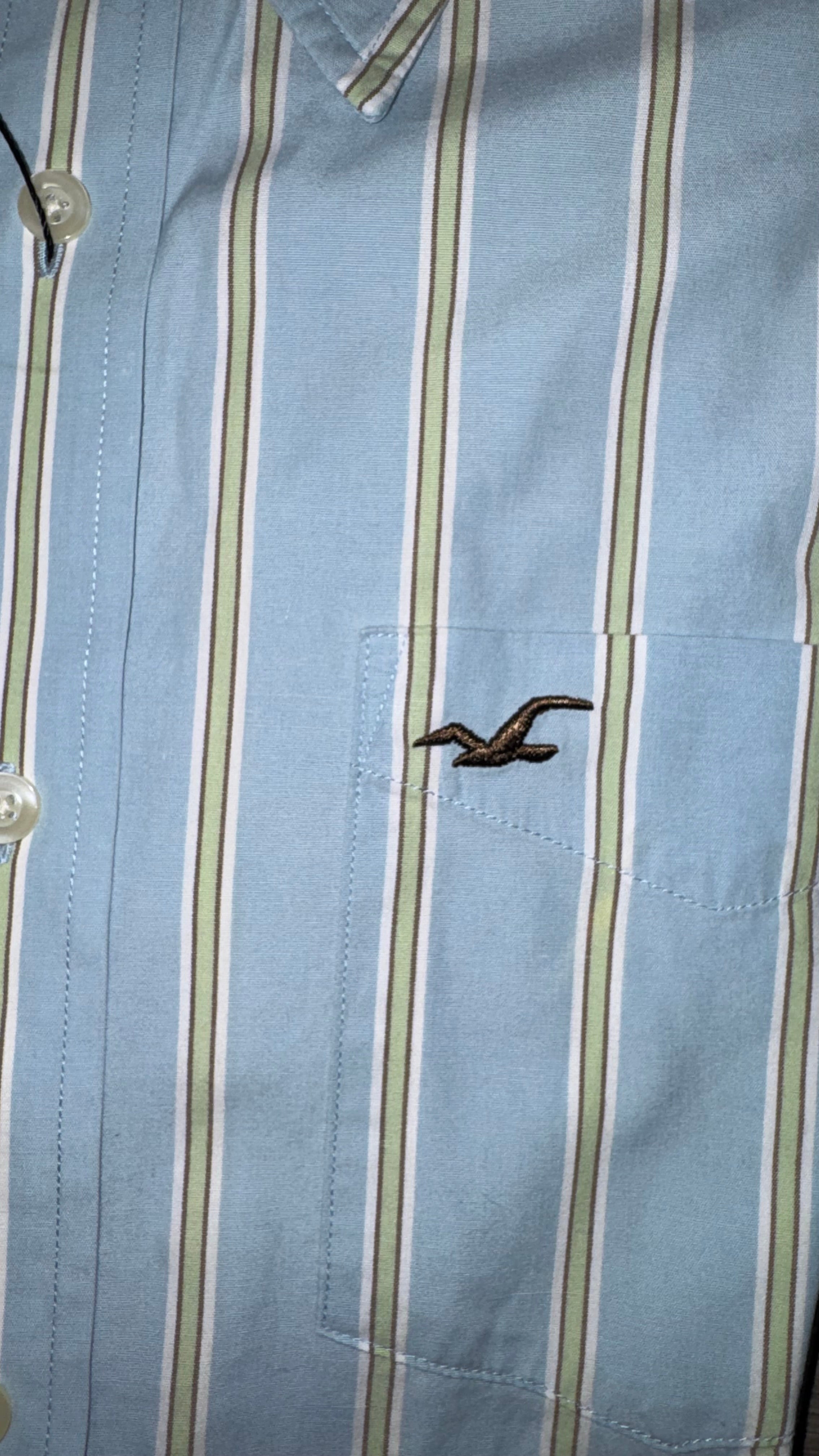 CAMISA AMERICAN EAGLE