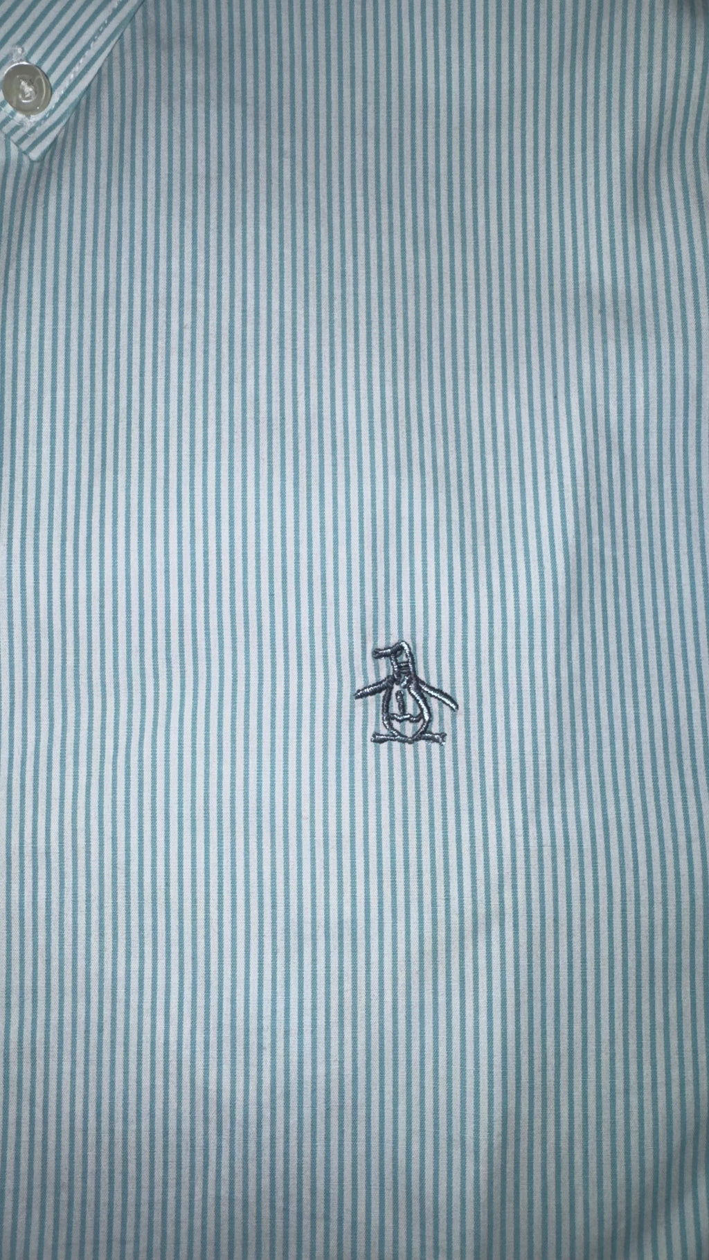 CAMISA PENGUIN