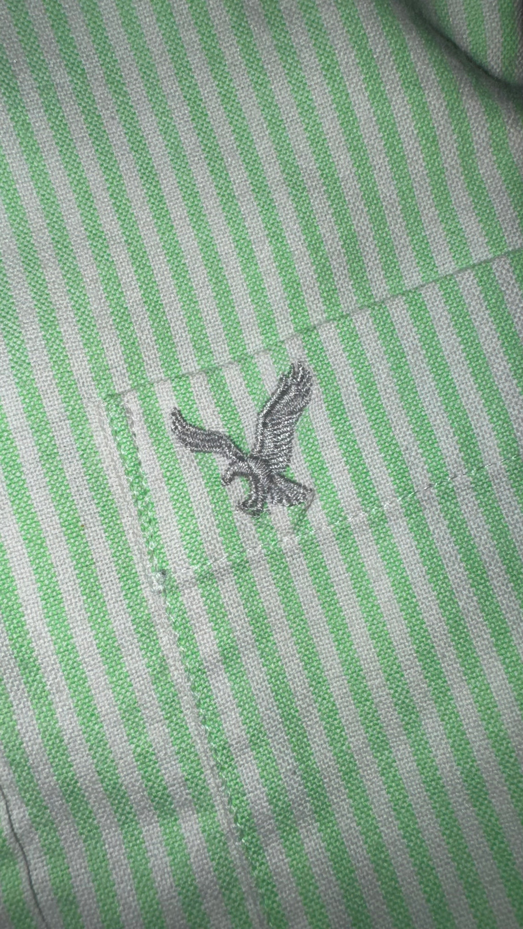 CAMISA AMERICAN EAGLE