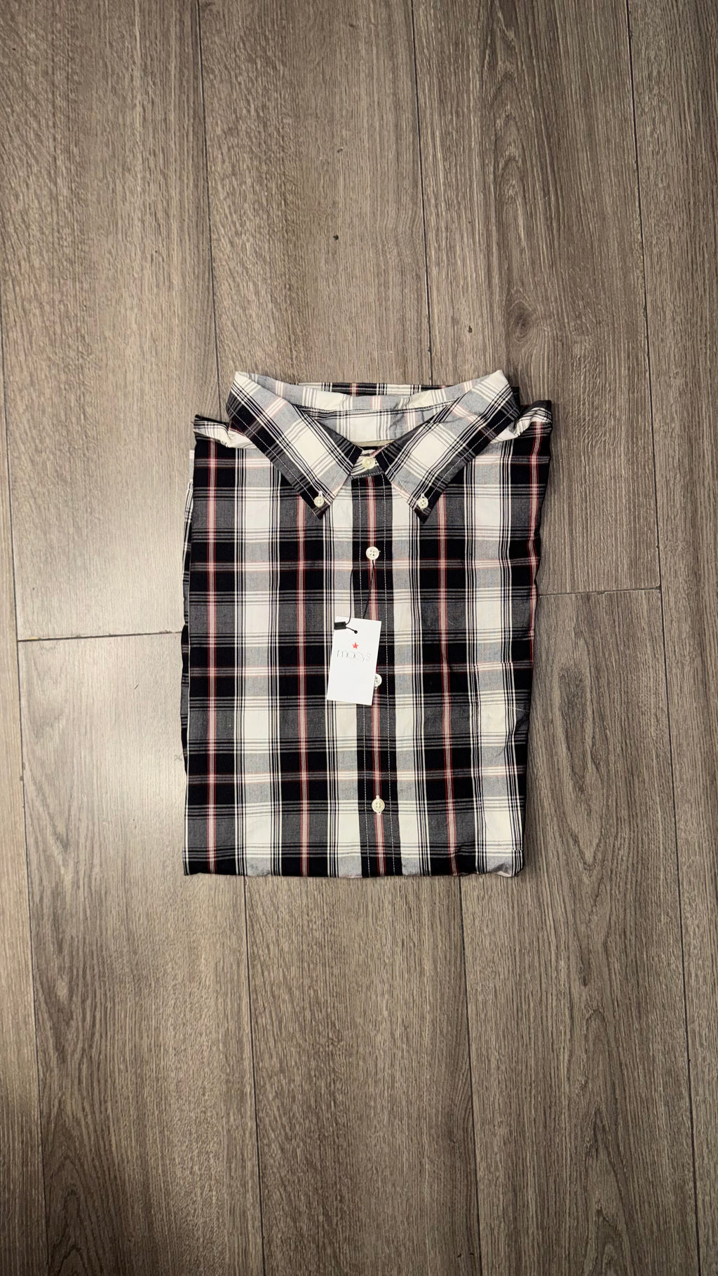 CAMISA BASIC EDITIONS