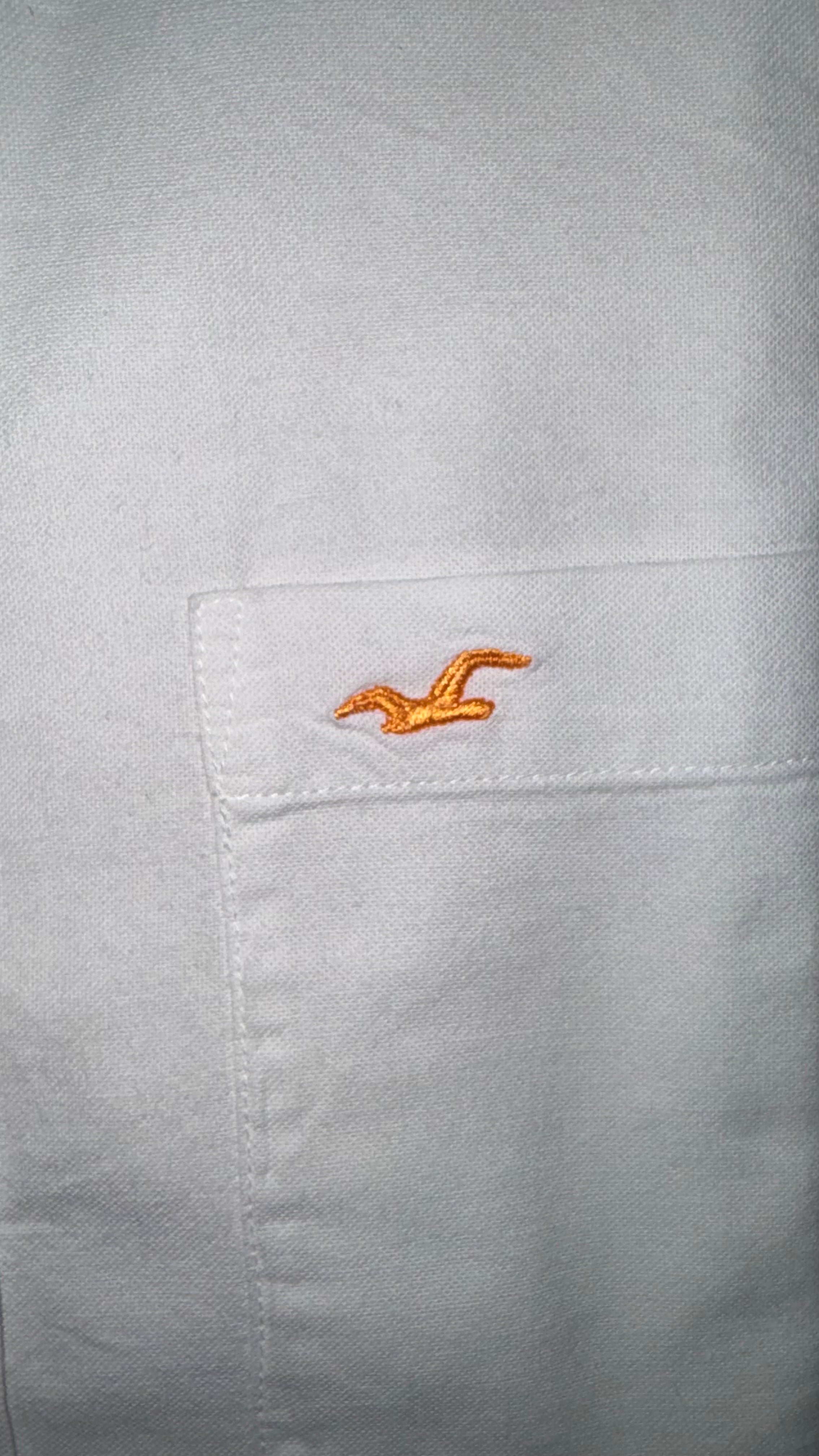 CAMISA HOLLISTER