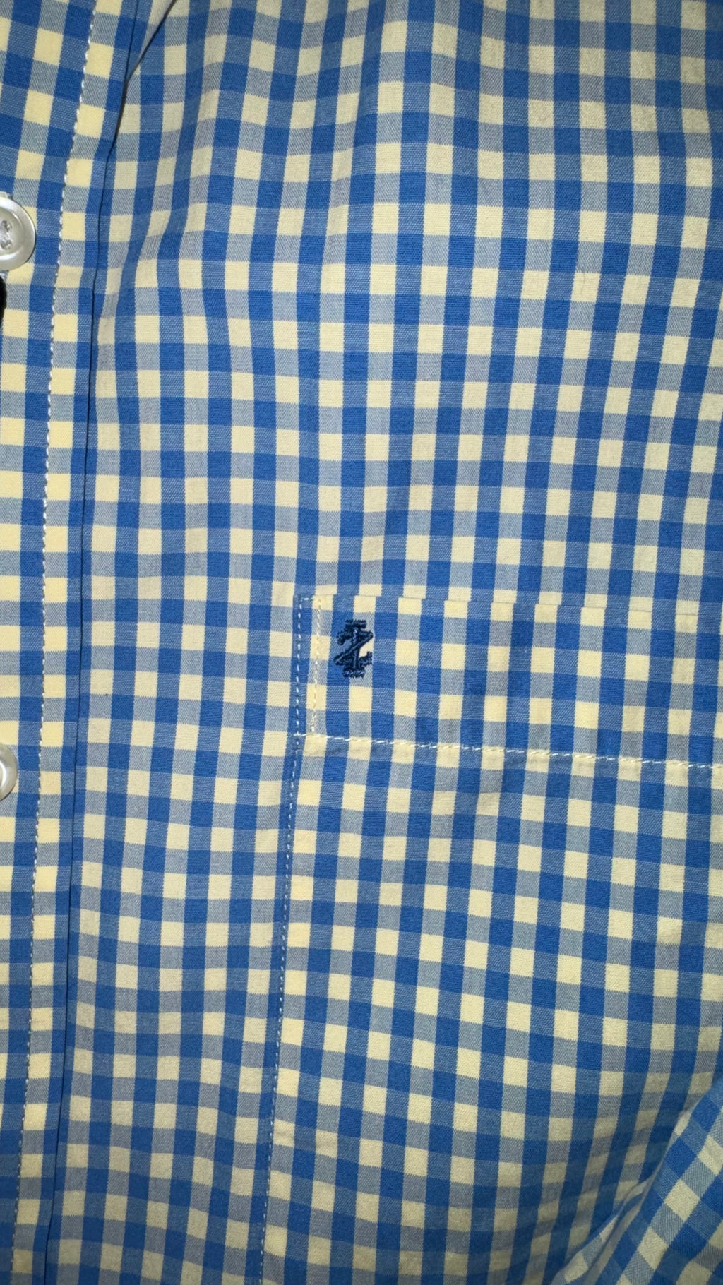 CAMISA IZOD