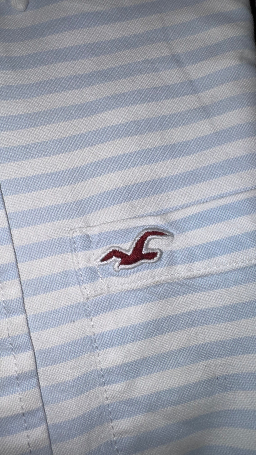 CAMISA HOLLISTER
