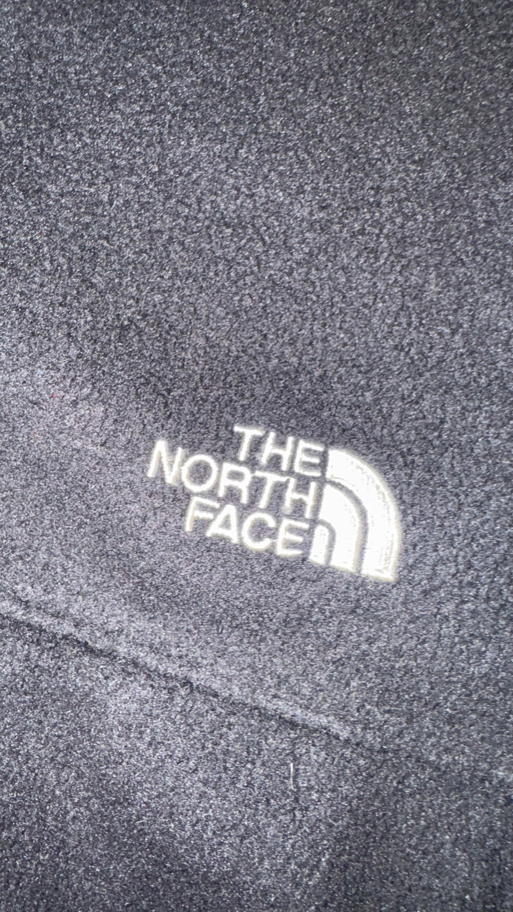 CHAMARRA THE NORTH FACE