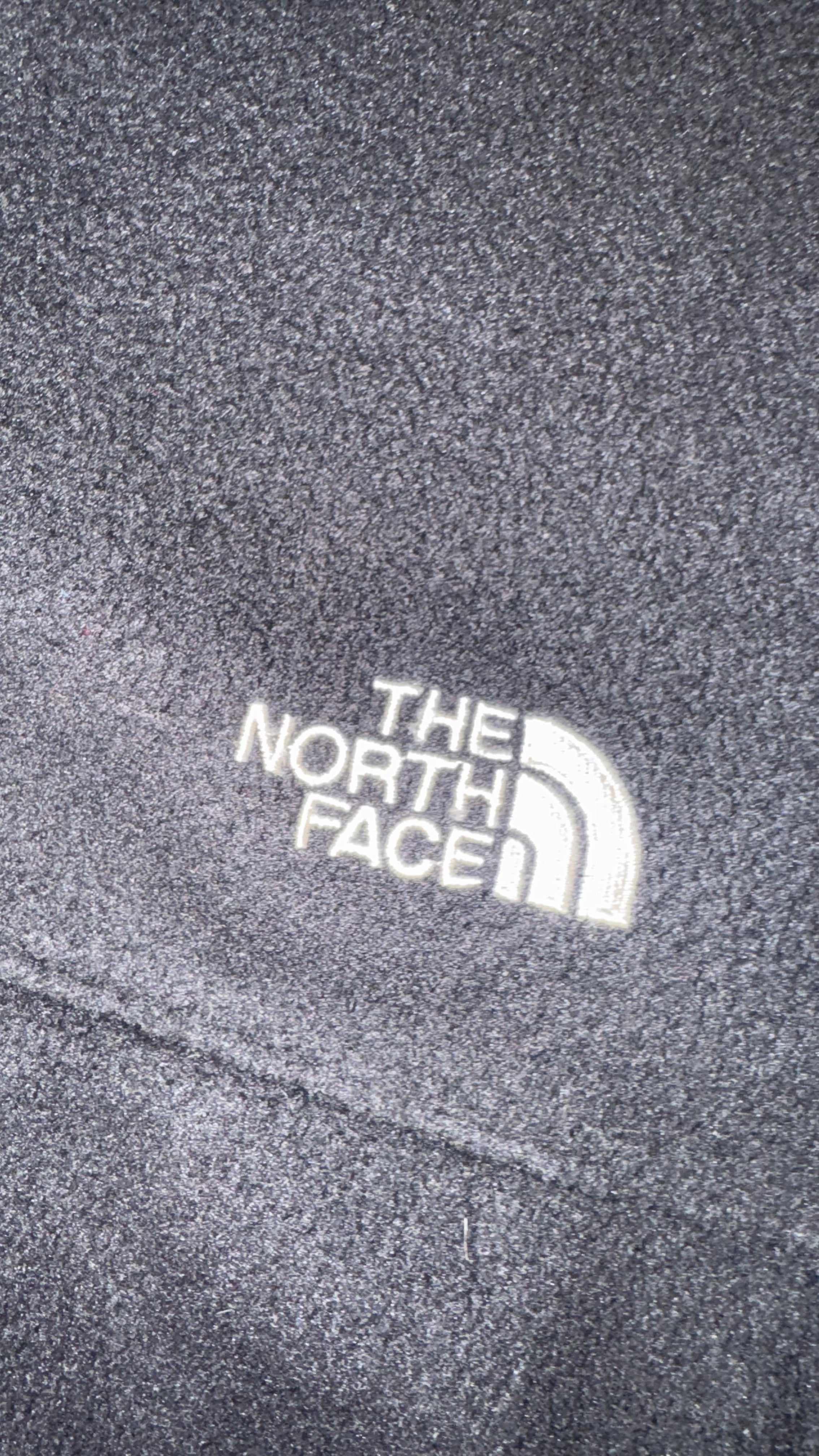 CHAMARRA THE NORTH FACE
