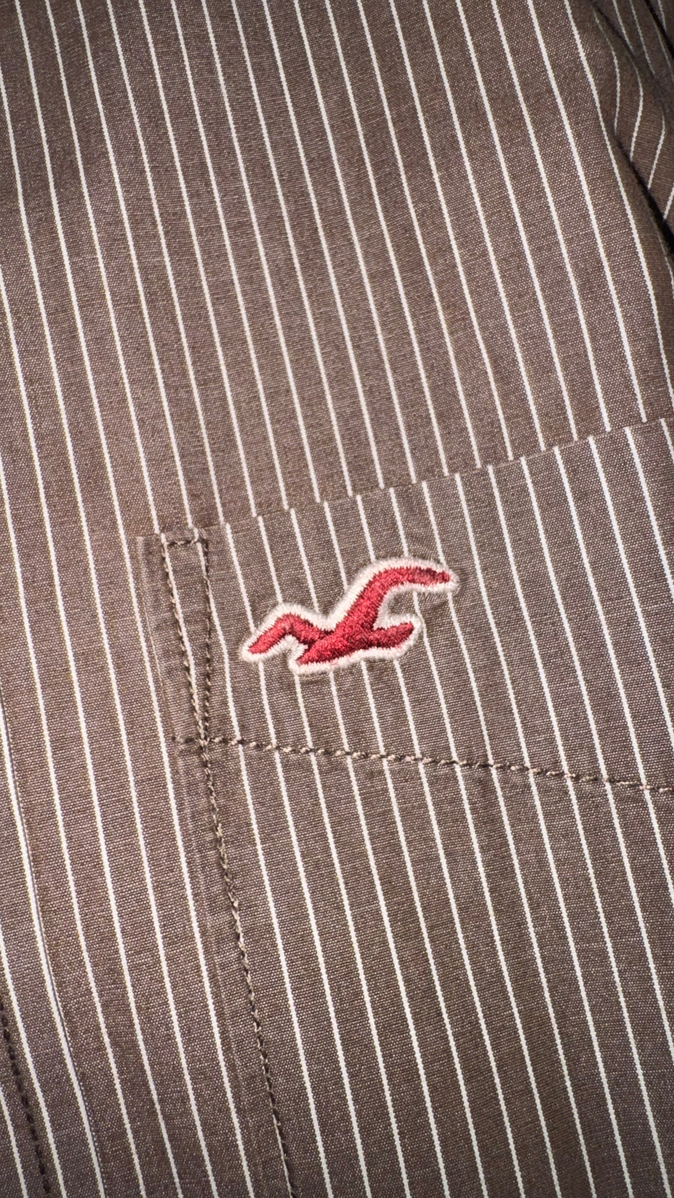 CAMISA HOLLISTER