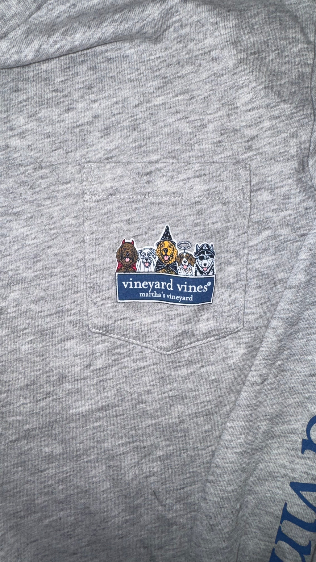 PLAYERA NIÑO VINEYARD VINES