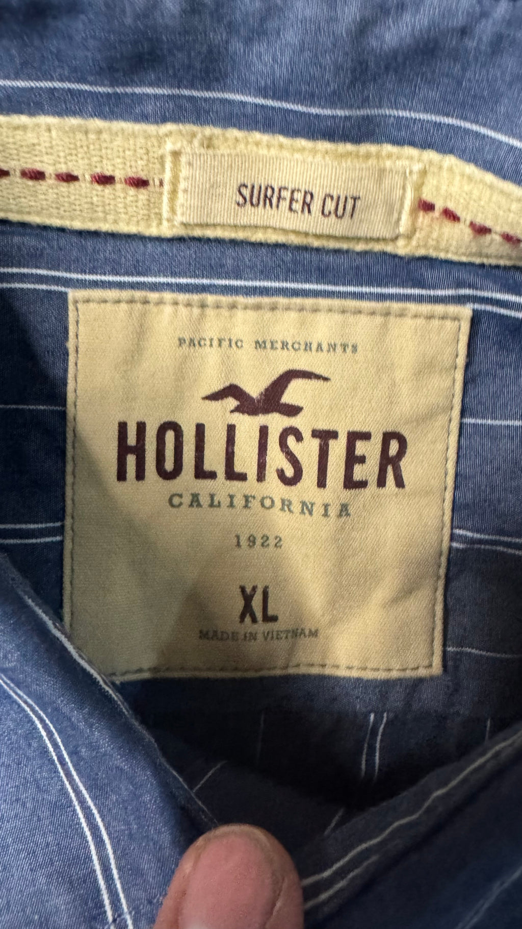 CAMISA HOLLISTER