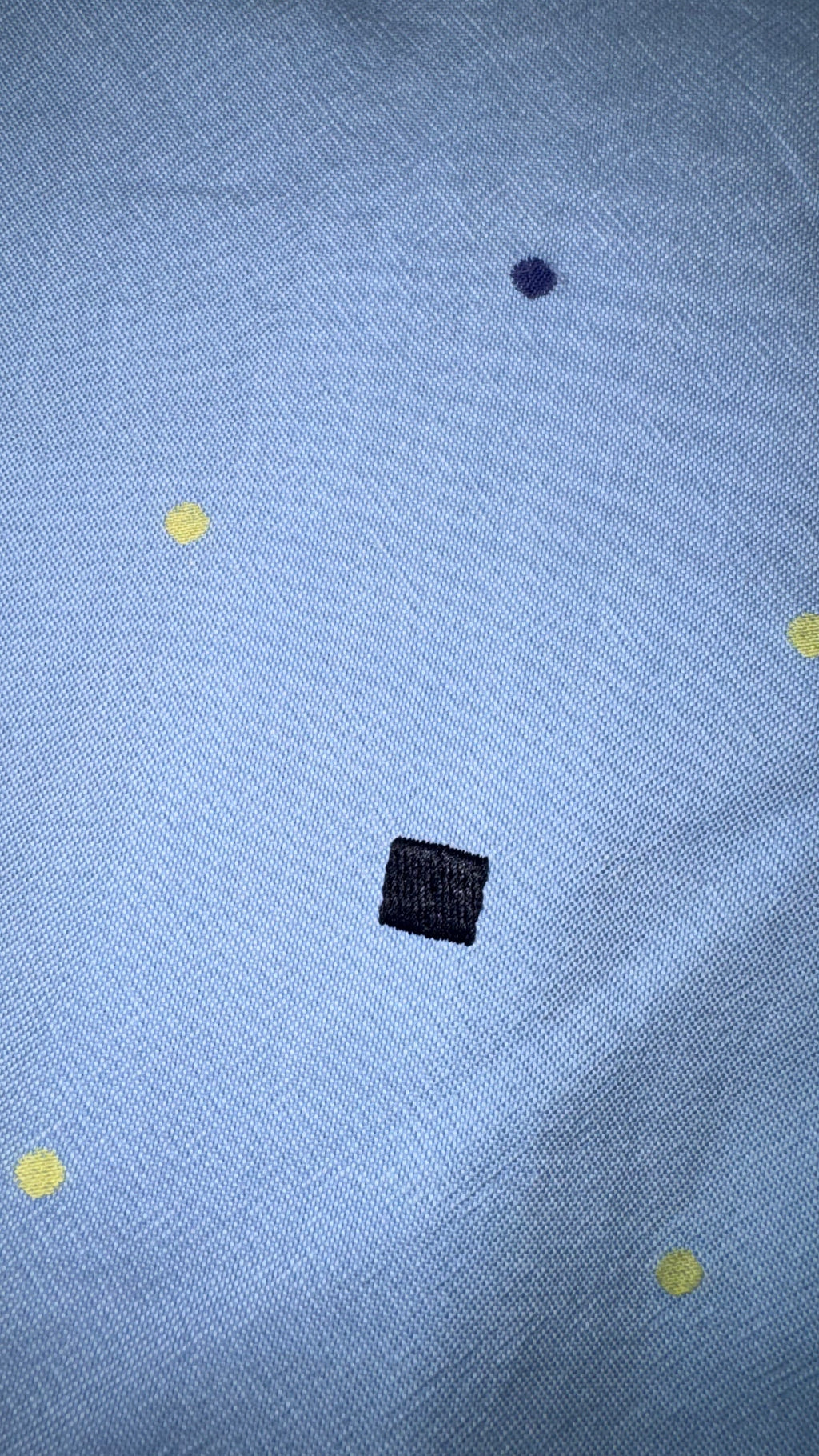CAMISA PURIFICACIÓN GARCÍA