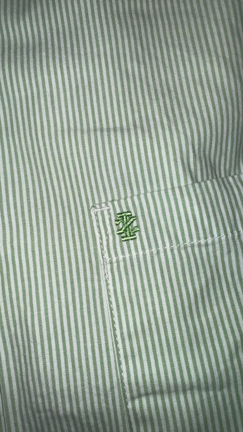 CAMISA IZOD