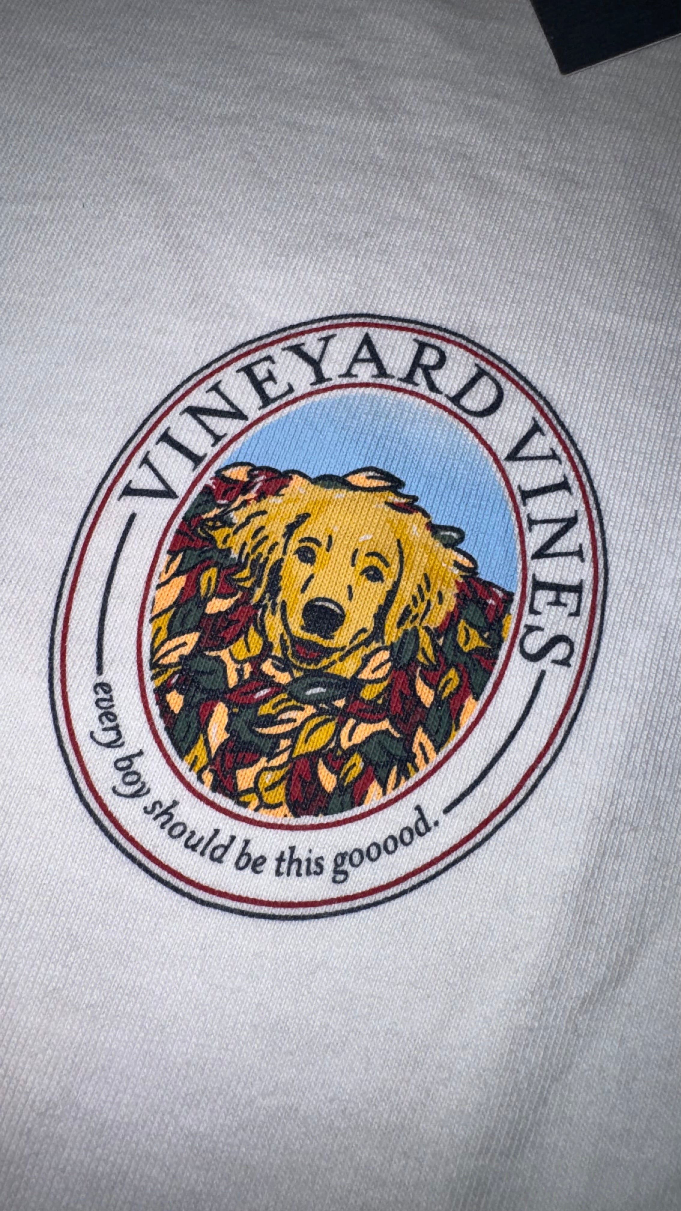 PLAYERA VINEYARD VINES