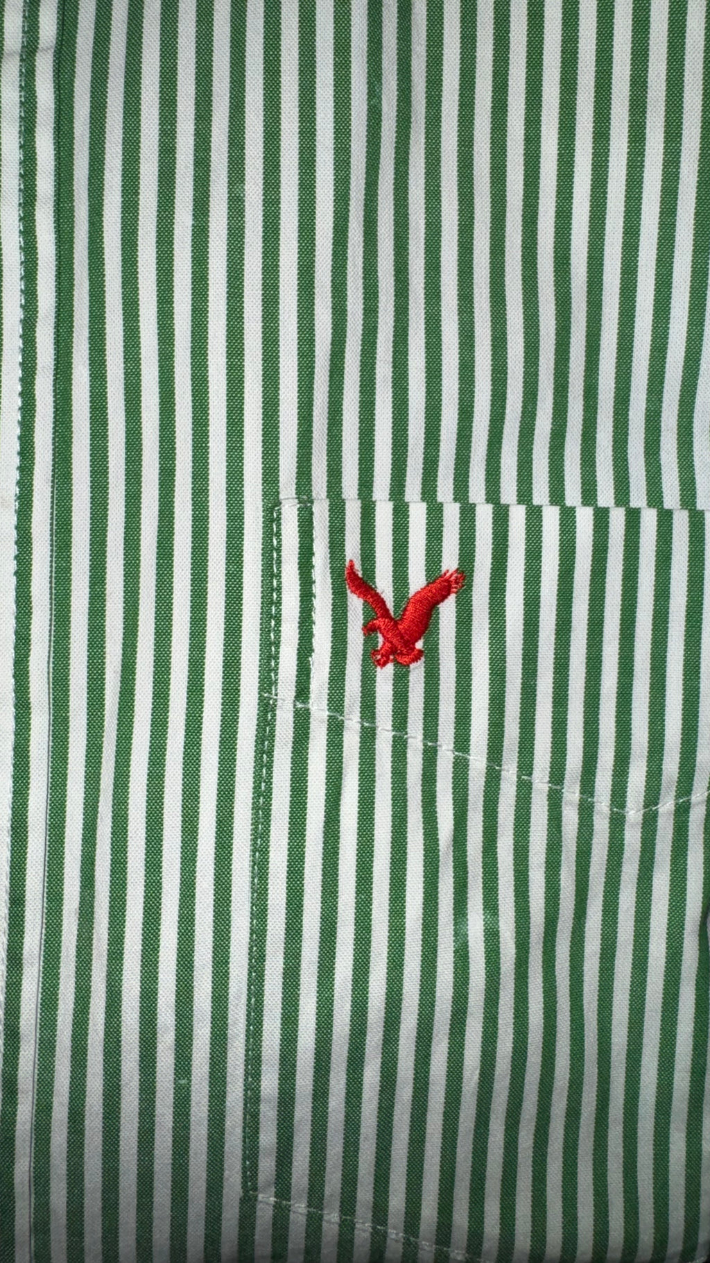 CAMISA AMERICAN EAGLE