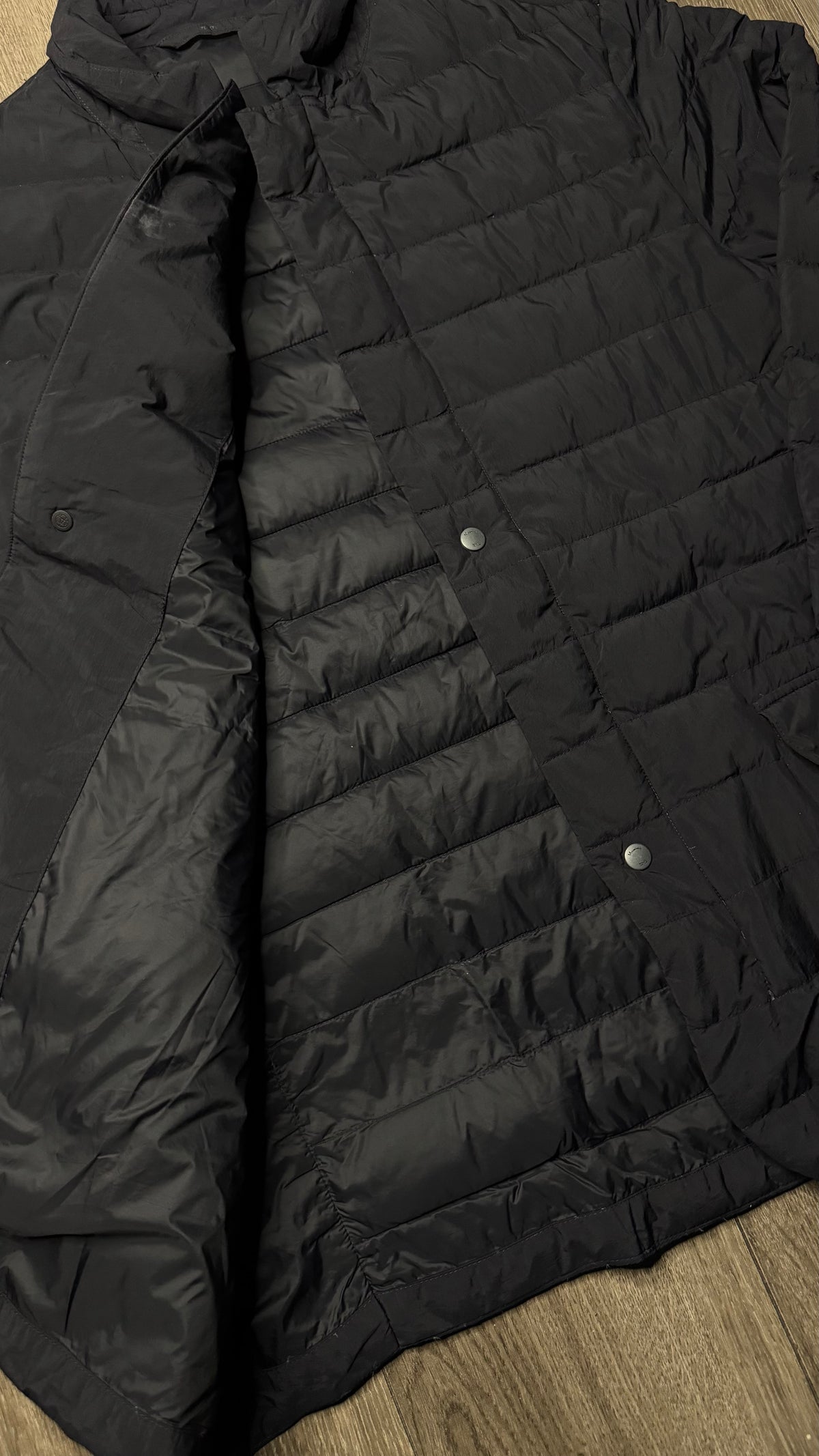 CHAMARRA MASSIMO DUTI