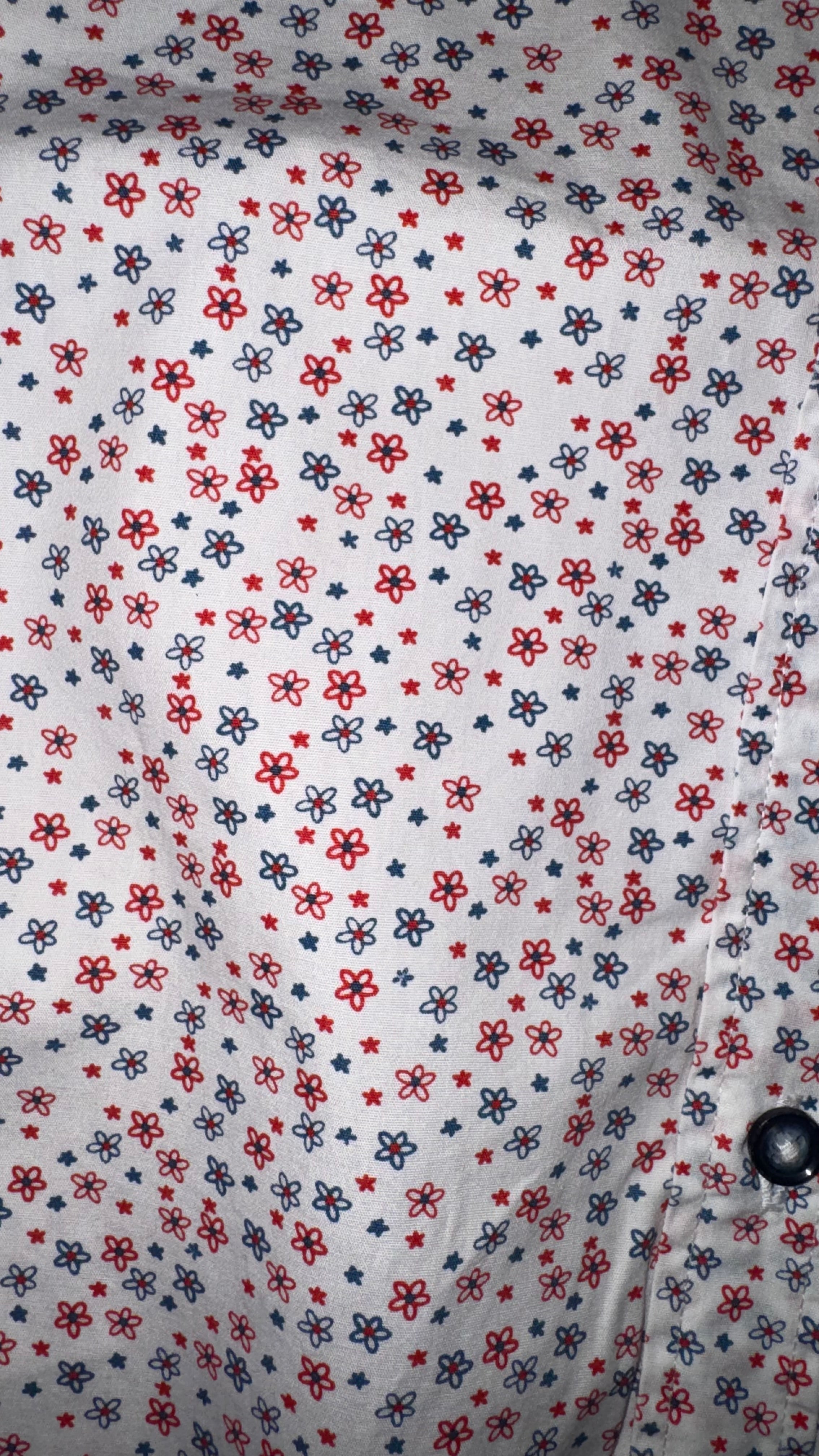 CAMISA ZARA MAN