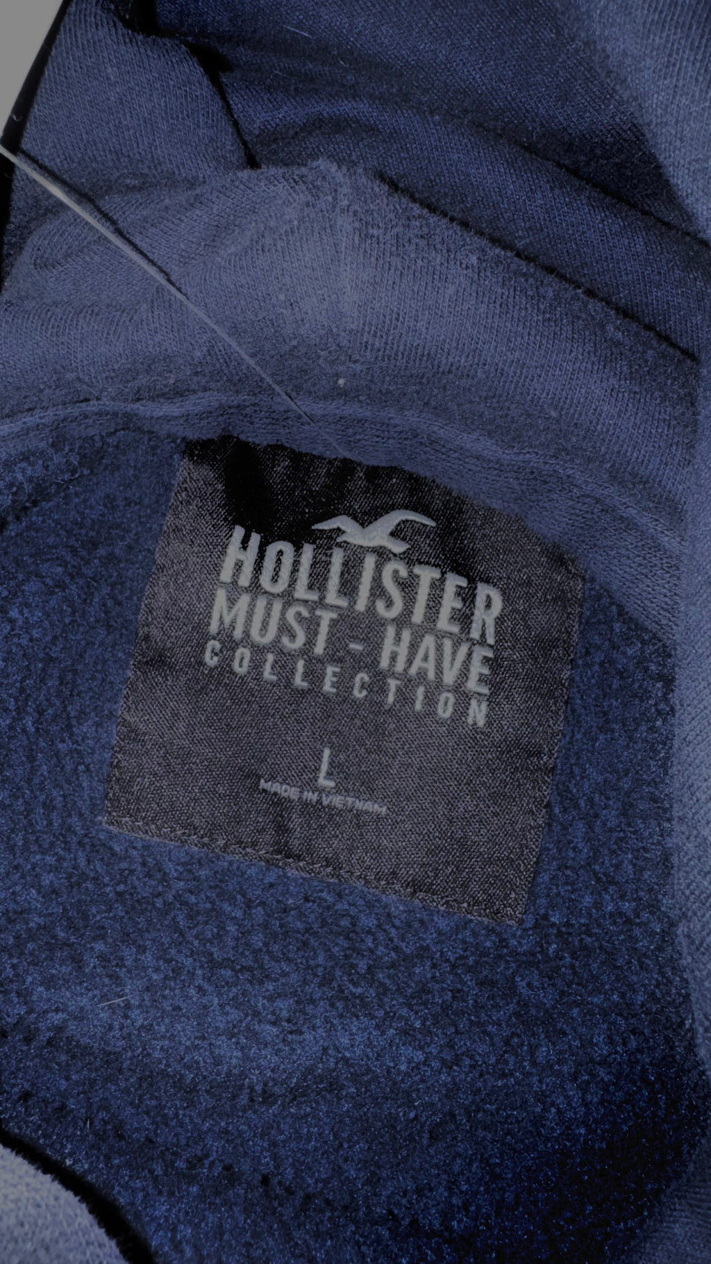 SUDADERA HOLLISTER