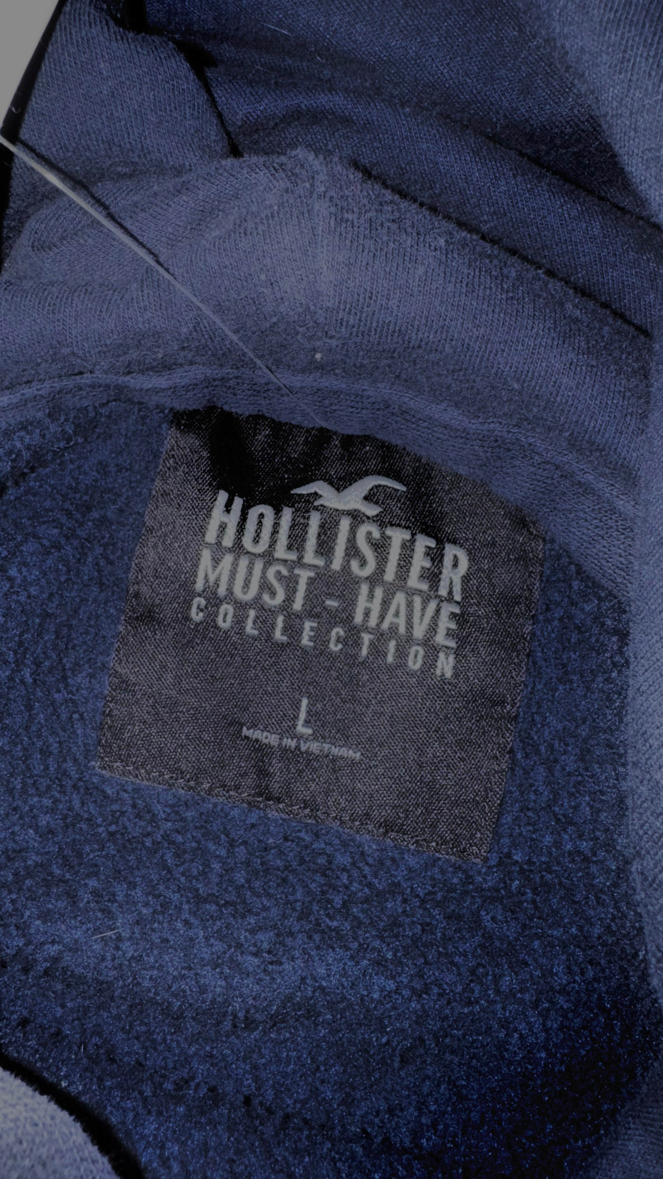 SUDADERA HOLLISTER