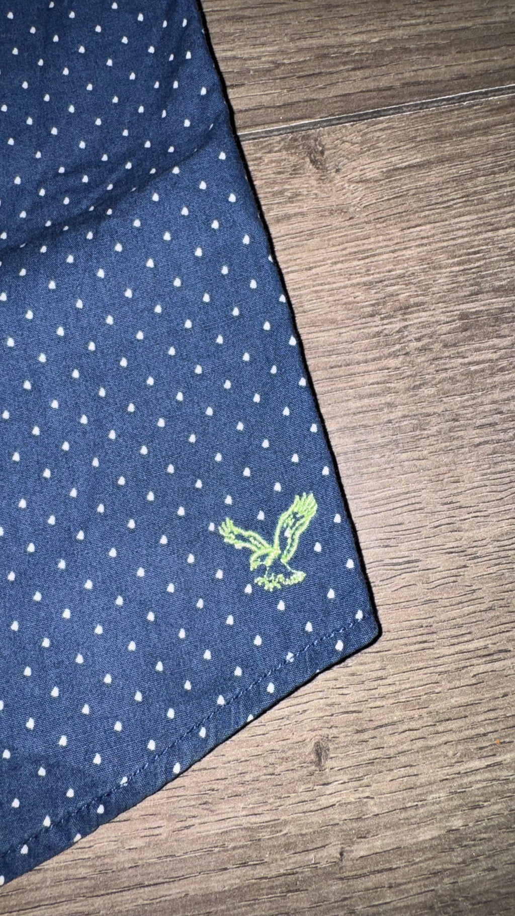 CAMISA AMERICAN EAGLE