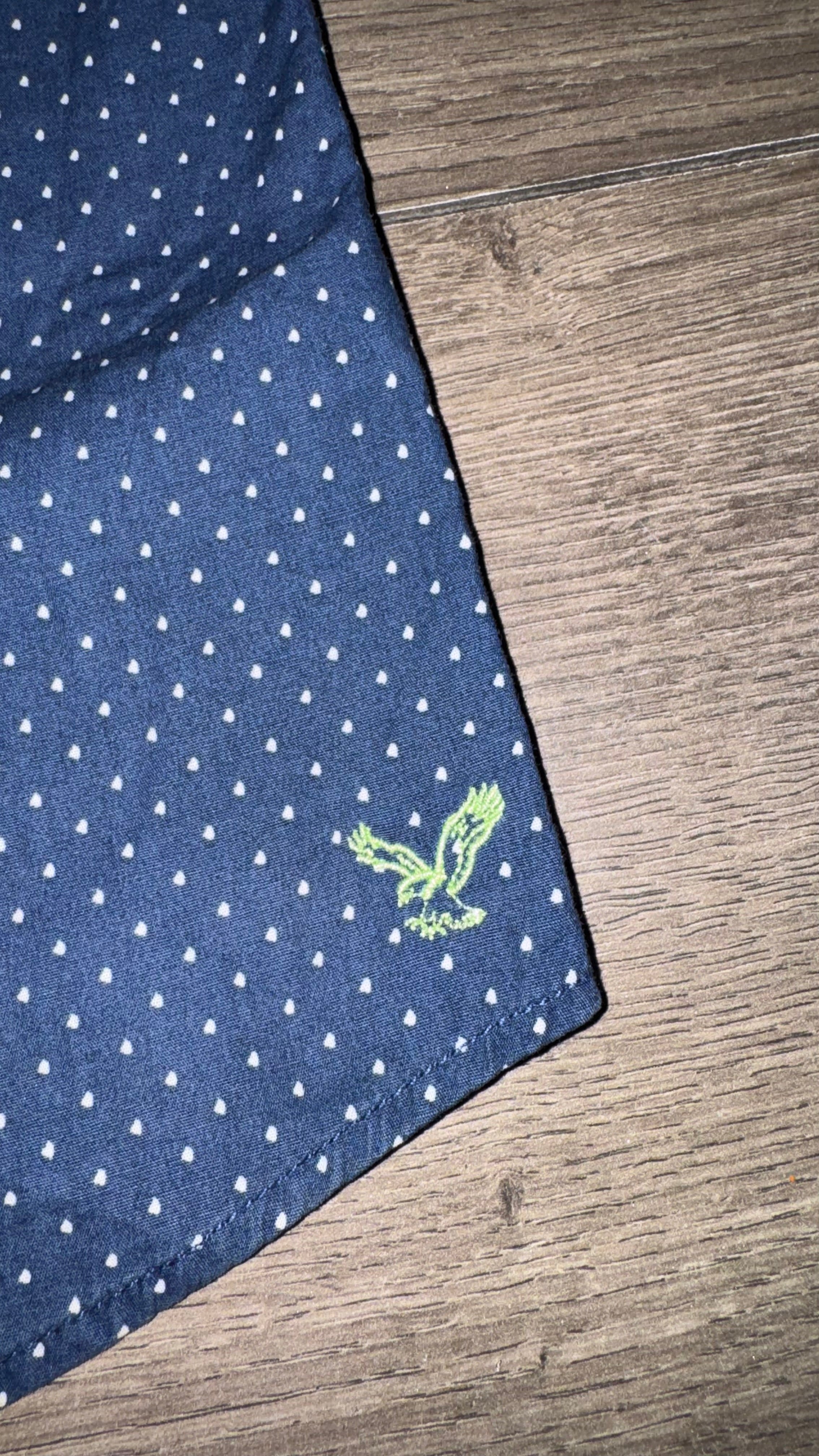 CAMISA AMERICAN EAGLE