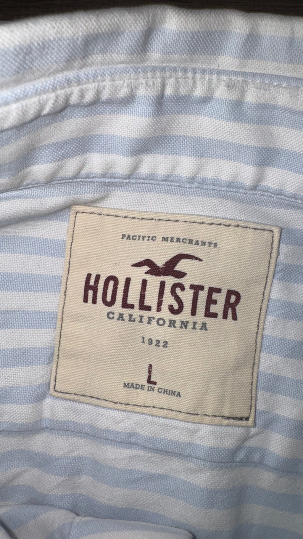 CAMISA HOLLISTER