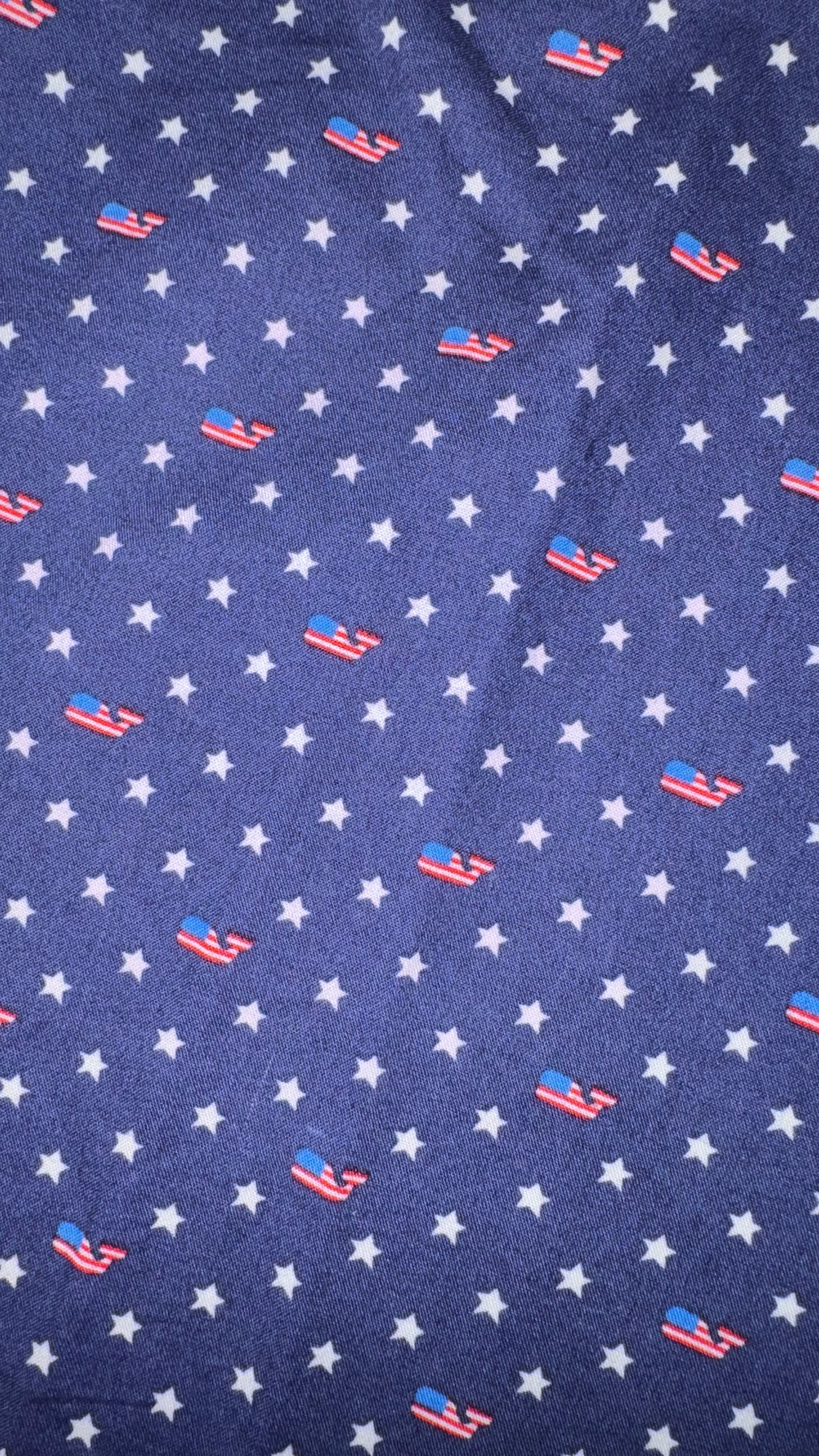 CAMISA VINEYARD VINES