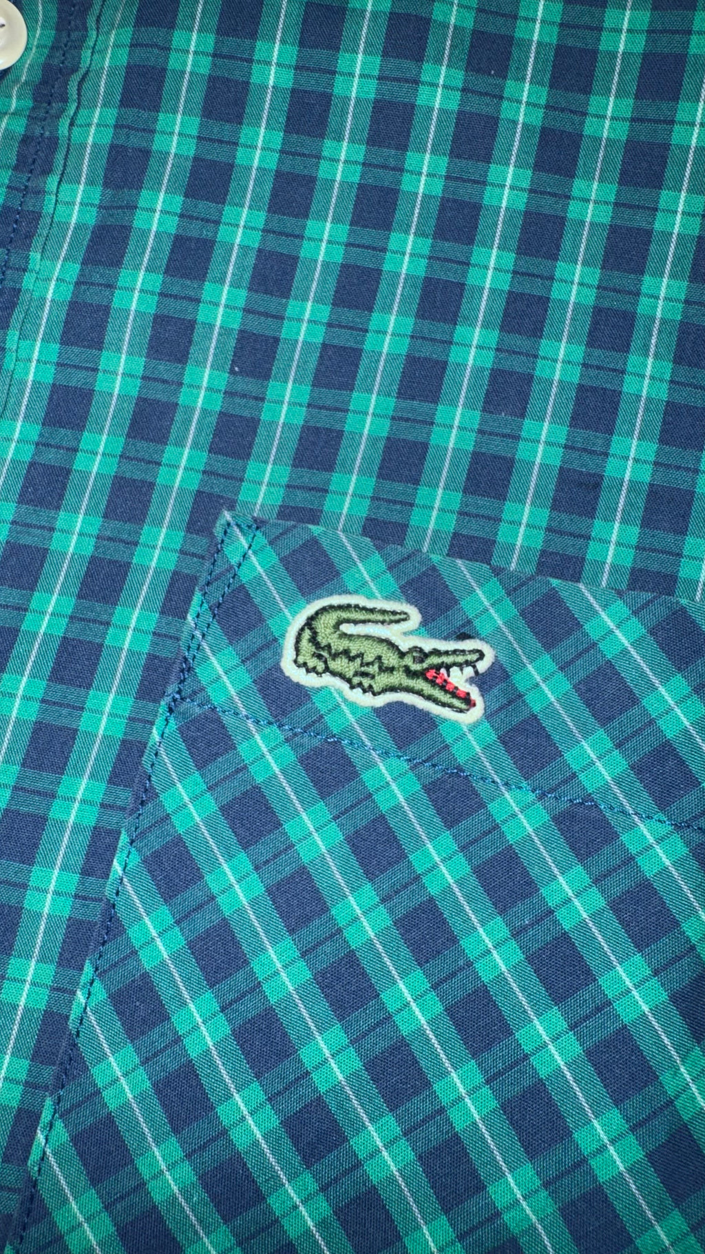 CAMISA LACOSTE