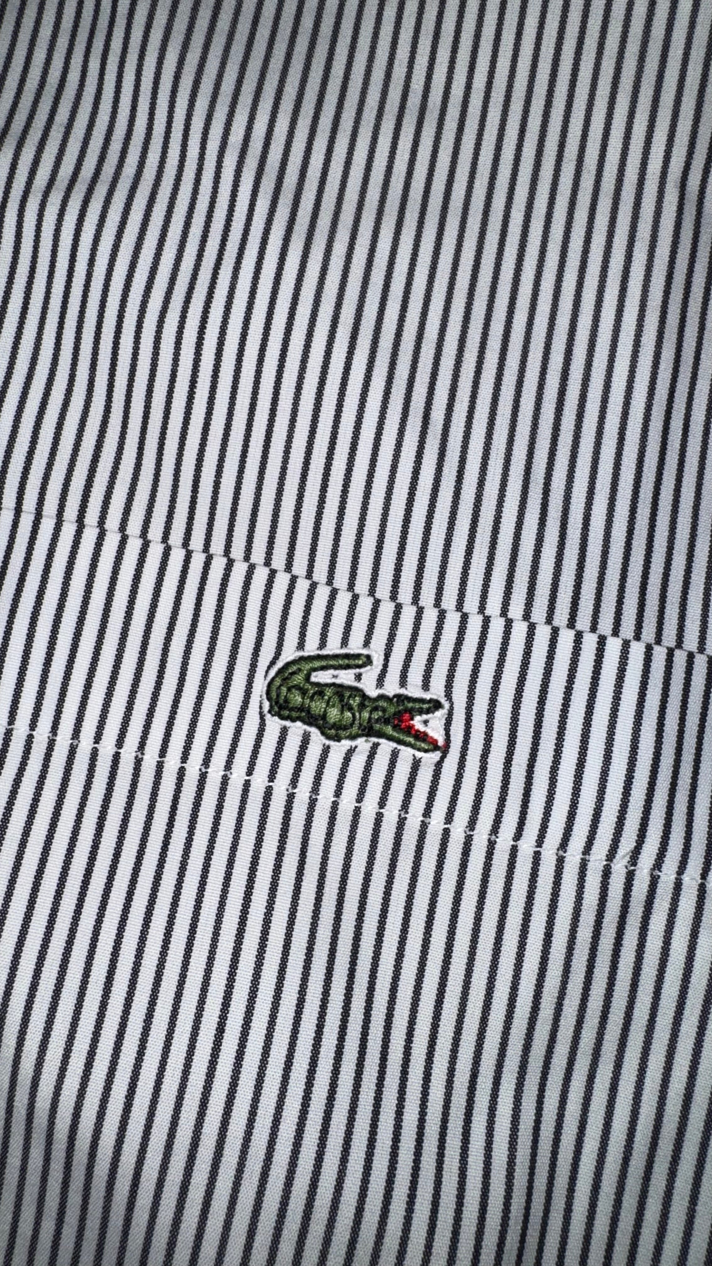 CAMISA LACOSTE