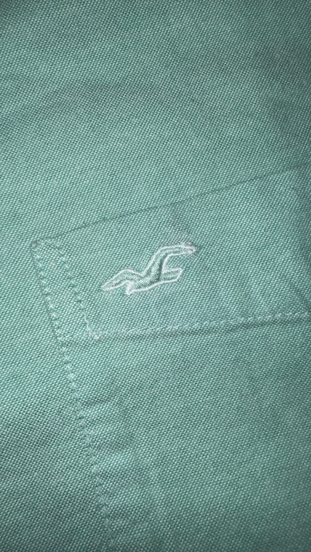 CAMISA HOLLISTER