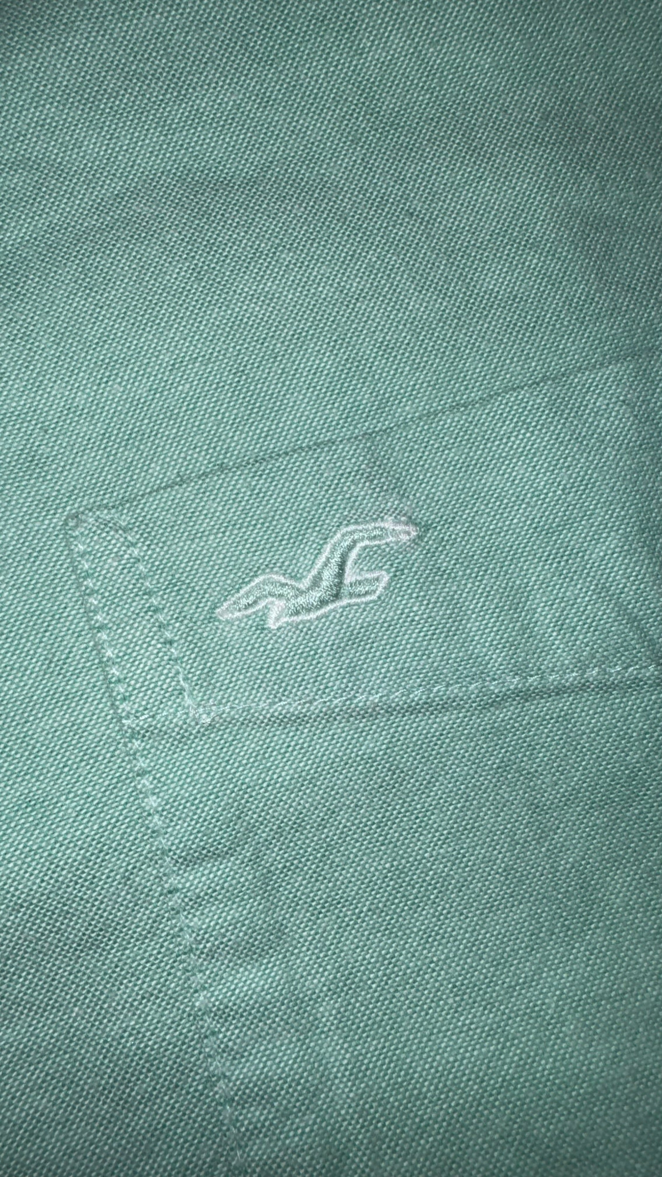 CAMISA HOLLISTER