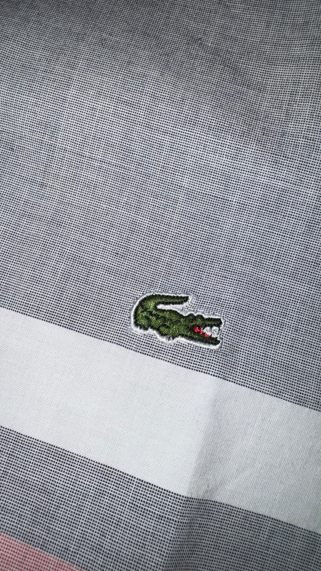CAMISA LACOSTE