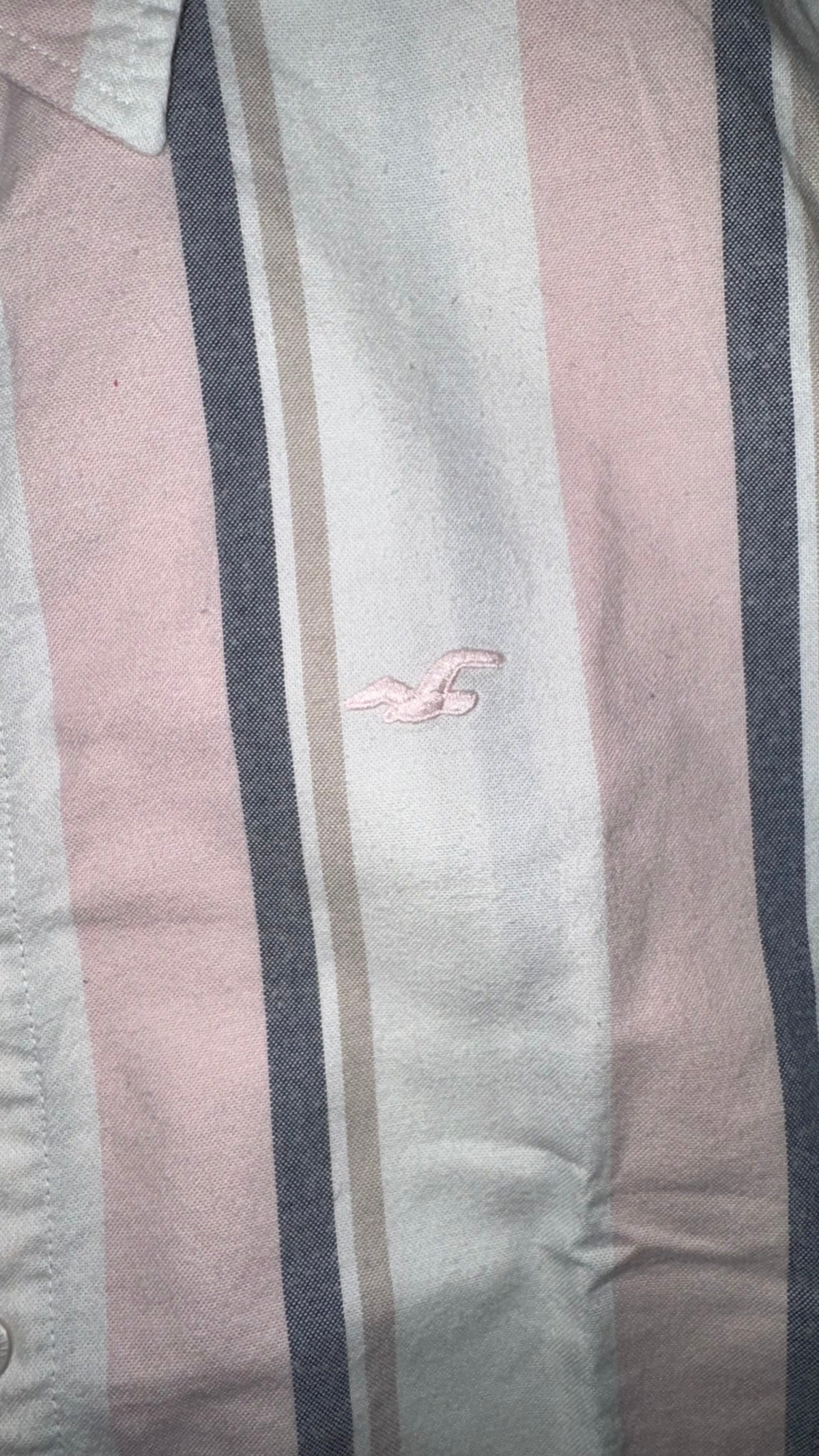 CAMISA HOLLISTER
