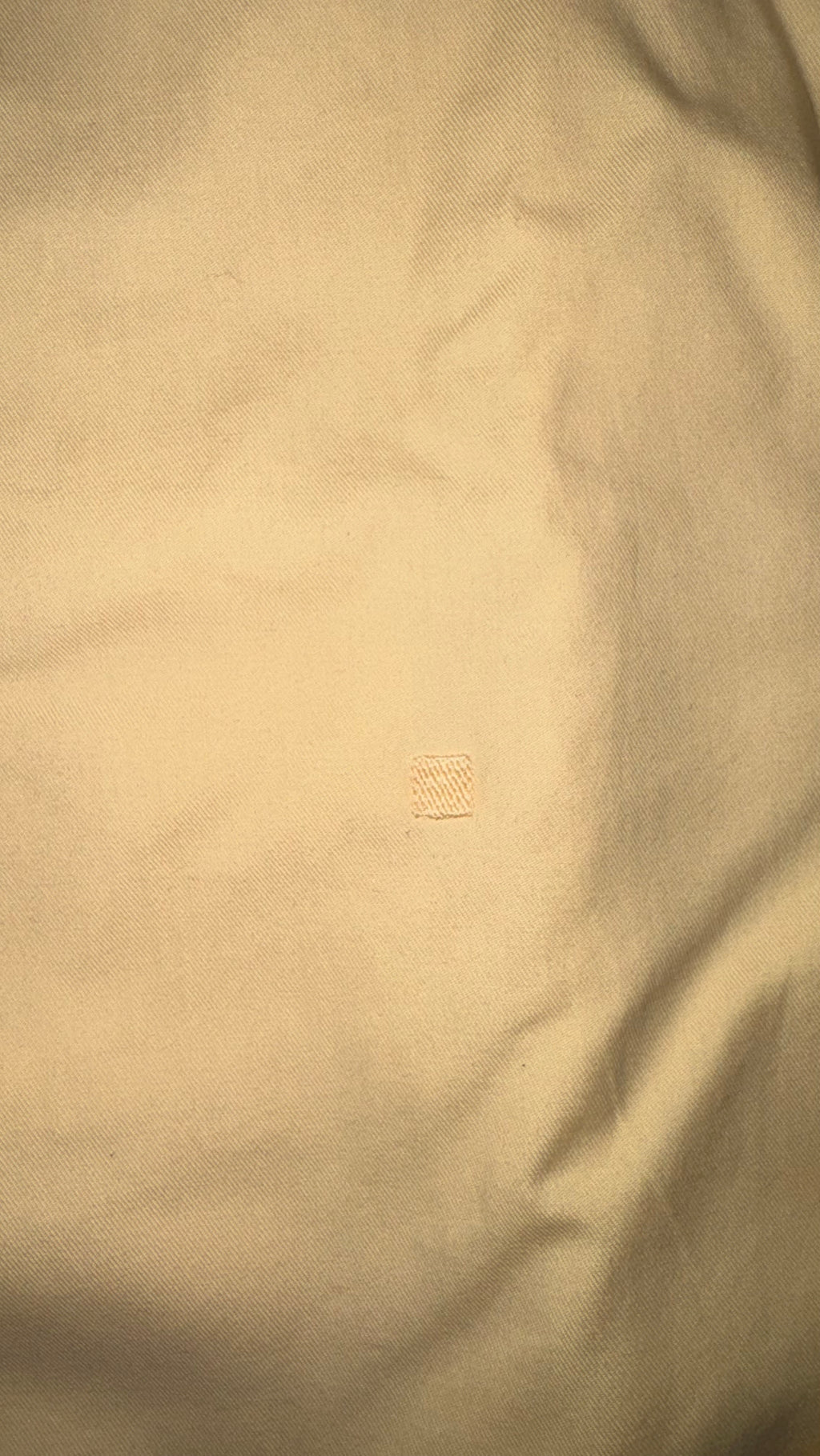CAMISA PURIFICACIÓN GARCÍA